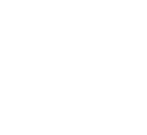 EZUS Lyon_Logo EZUS_Blanc_light300